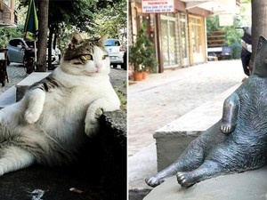 Si Kucing Gembul yang Kerap Jadi Meme, Akhirnya Dibuatkan Patung di Turki