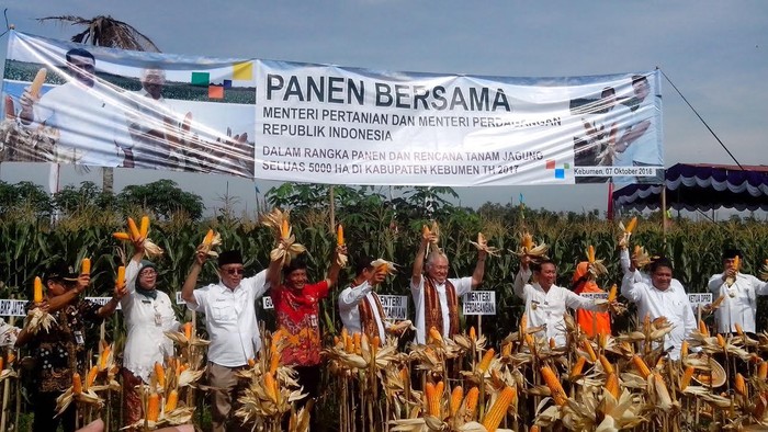 Duet Mentan dan Mendag Panen Jagung dan Beri Traktor di Kebumen