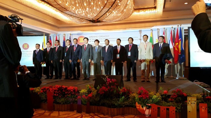 4 Negara Bangun Lumbung Pangan Daerah Perbatasan