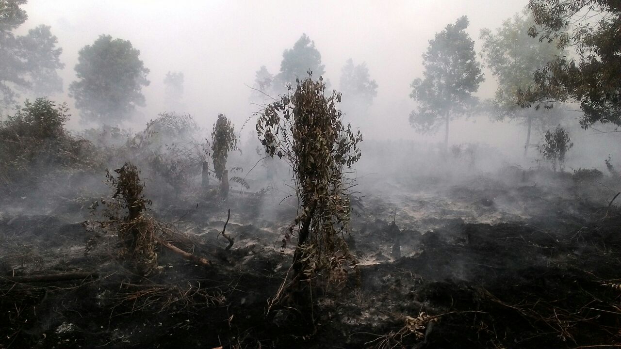 Foto: Dok Satgas Udara Kebakaran Hutan dan Lahan
