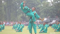 Acara juga dimeriahkan dengan demonstrasi Yong Moodo dan free fall, defile pasukan dan kendaraan, serta panggung hiburan.