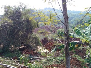 Tanah Longsor Terjadi di Gunung Cibentang Bandung, Warga Diungsikan