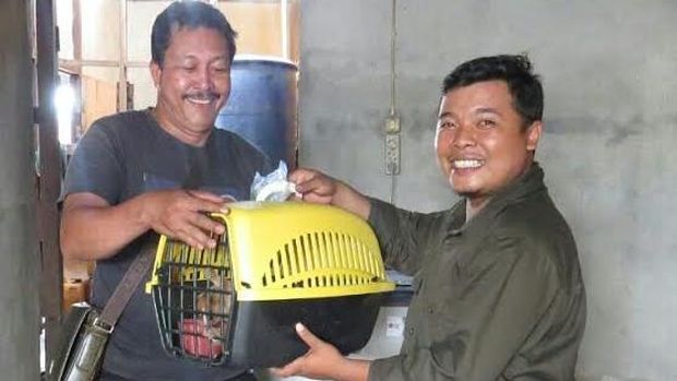 Patut Dicontoh! Warga Serahkan Kukang dan Orangutan ke BKSDA