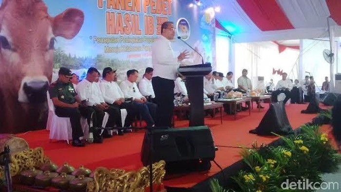 4 Menteri Jokowi Panen Anak Sapi Di Lamongan