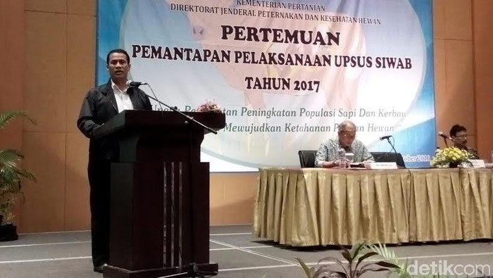 Butuh Dana Rp 6 Triliun untuk Program Sapi Indukan Wajib Bunting