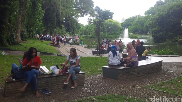 Kebun Raya Bogor dibuka kembali usai insiden lebah (Foto: Farhan/detikcom)