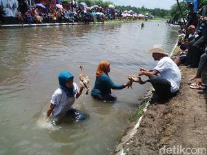 Lucunya Ketika Ibu-ibu di Pasuruan Ikut Lomba Menangkap Bebek di Sungai