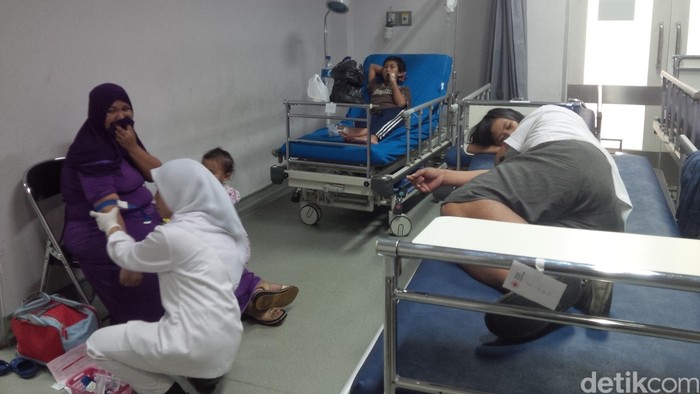 Lebah Ngamuk di Kebun Raya Bogor Sengat Belasan Pengunjung