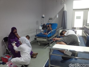Lebah Ngamuk di Kebun Raya Bogor Sengat Belasan Pengunjung