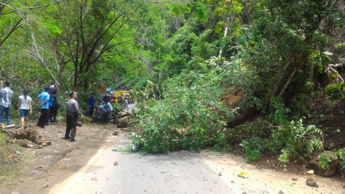 Jalan Trenggalek-Ponorogo Kembali Longsor