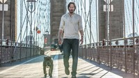 Film John Wick dan Saw Bakal Diadaptasi Menjadi Video Game