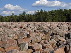 Ajaib! Bukan Padang Rumput, Tapi Padang Batu di Amerika