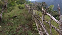 Sayang, bukit ini masih belum mendapat perhatian dari pemerintah maupun warga setempat. Pembangunan infrastruktur pendukung pariwisata masih belum terasa di wilayah sekitar Bukit Pelolat (Masaul/detikTravel)