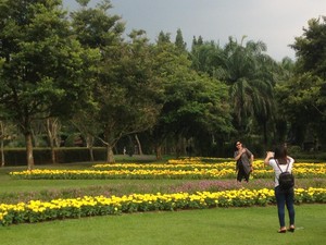 Taman Bunga Nusantara yang Katanya Seperti di Eropa