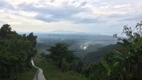 Padahal secara akses, untuk menuju ke Bukit Pelolat cukup mudah dan dekat dari pusat kota. Hanya butuh waktu 30 menit perjalanan darat dari Kota Mataram naik motor atau mobil (Masaul/detikTravel)