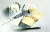 Lagi Diet? Mulai Sekarang Coret 7 Makanan Ini dari Daftar Makanan