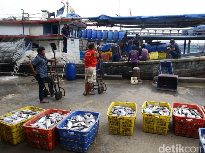 Perum Perindo Benahi Tarif Sewa di Pelabuhan Muara Baru