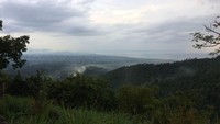 Bukit Pelolat yang hijau ini namanya diambil dari Bahasa Sasak. Pelolat sendiri berarti licin, itu karena jalanan menuju bukit akan sangat licin bila sehabis hujan (Masaul/detikTravel)