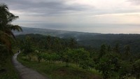 Perbukitan Lombok yang masih hijau dan asri akan langsung tersaji begitu traveler sampai di Bukit Pelolat. Pemandangan Kota Mataram, hingga garis pantainya pun bisa terlihat dari bukit ini (Masaul/detikTravel)