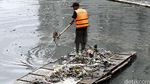 Waduk Melati Tanah Abang Bersih Dari Sampah