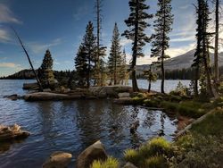 Ini Hasil Jepretan Google Pixel