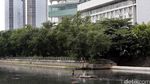 Waduk Melati Tanah Abang Bersih Dari Sampah