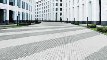 Kamera Google Pixel memilki skor DxOMark Mobile tertinggi yang diklaim membuktikan kualitasnya sangat tinggi. Foto: Google