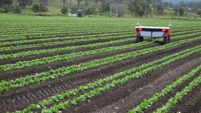 Ilmuwan Australia Ciptakan Robot Tanpa Internet Untuk Bantu Petani