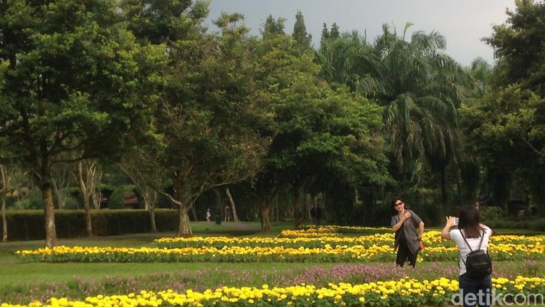 Yuk Ajak Mama Kamu Bersantai Di Taman Bunga