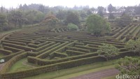 Kalau Taman Rahasia (Labyrinth) yang berbentuk labirin bisa bikin pusing 7 keliling. Sebab kita harus menjelajahi jalanan yang berlika-liku dan terkadang buntu untuk sampai di tengahnya (Afif/detikTravel)