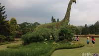 Taman Bunga Nusantara buka setiap hari, pukul 08.00-17.00 WIB. Daripada liburan ke mal, lebih baik liburan ke Cianjur untuk menghirup udara segar dan berfoto dengan bunga-bunga cantik (Afif/detikTravel)