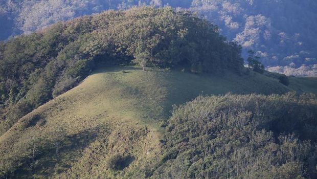Gunung Mutis tertinggi di NTT