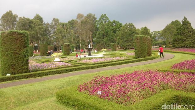 Taman bunga yang mirip di Eropa (Afif/detikTravel)