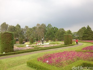 Sejarah Taman Bunga Nusantara Cianjur, Sarana, Harga Tiket, dan Jam Buka