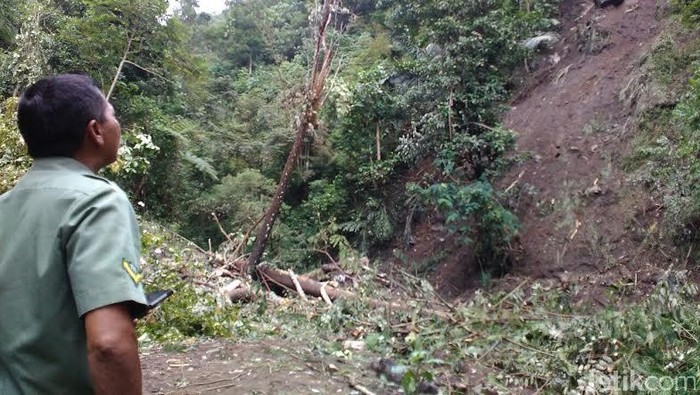 Kawasan Hutan Wisata Telogo Muncar di Lereng Merapi Ditutup Akibat Longsor