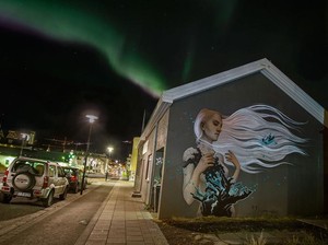 Intip Mural-mural Cantik di Reykjavik