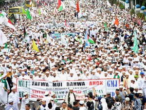 Komnas HAM: Demo 4 November Wajar, Polisi Harus Jamin Keamanan