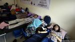KONI Pusat Gelar Donor Darah