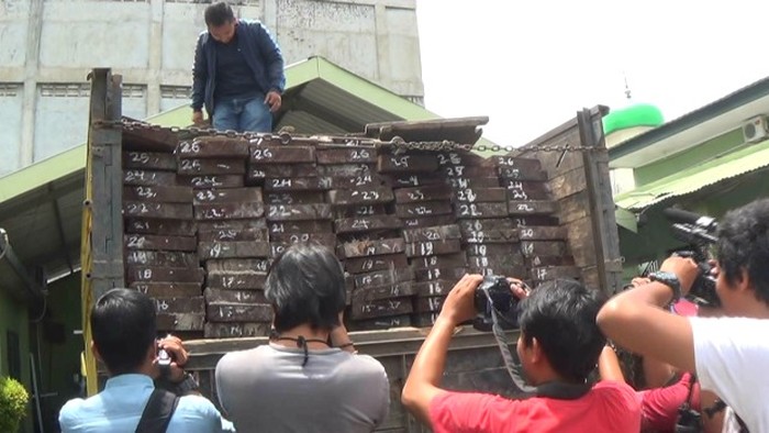 Denpom Pekanbaru Dalami Keterlibatan Anggota dalam Illegal Logging di Pelalawan