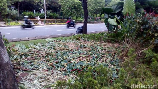 Taman yang rusak di depan Balai Kota