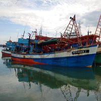 3 Kapal Vietnam Berbendera Malaysia Ditangkap Di Kepri 5 Ton Ikan