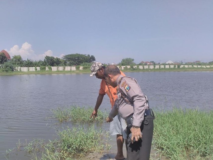 Bocah 9 Tahun Tewas Tenggelam di Kolam Pembuangan Limbah