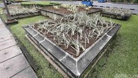 Perbaikan taman akan dituntaskan hari ini juga. Tanaman pengganti juga sudah disiapkan dari kebun bibit dari Dinas Pertamanan DKI.