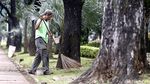 Tanaman Depan Balai Kota yang Rusak Terinjak Diperbaiki