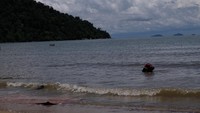 Pantai ini masuk dalam kawasan Taman Nasional Gunung Palung. Namun pantai tersebut hanya berjarak 10 menit dari pusat kota Sukadana (Andhika/detikTravel)