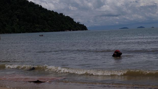 Pantai Pulau Datok di Kayong Utara Kalimantan Barat (Foto: Andhika Prasetia/detikcom)