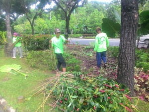 Tanaman Depan Balai Kota yang Rusak Terinjak Diperbaiki, Ini Penampakannya