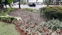 Tanaman hias di depan Balai Kota DKI Jakarta rusak akibat ulah pendemo pada Jumat (14/10/2016) sore.