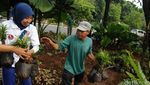 Djarot dan Relawan Benahi Taman Depan Balai Kota