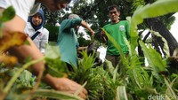 Mereka juga memberikan bantuan beberapa jenis tanaman seperti jenis Ararea, Sambang darah, Kadaka, Lili paris ragil, dan Pacing. Total jumlah tanaman yang diberikan adalah 500 polybag tanaman kecil.